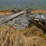 DSC_0011 (3)