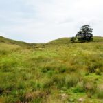 DSC_0057 (2)