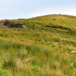 DSC_0059 (2)