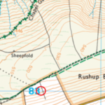 Untitledhamp (2)